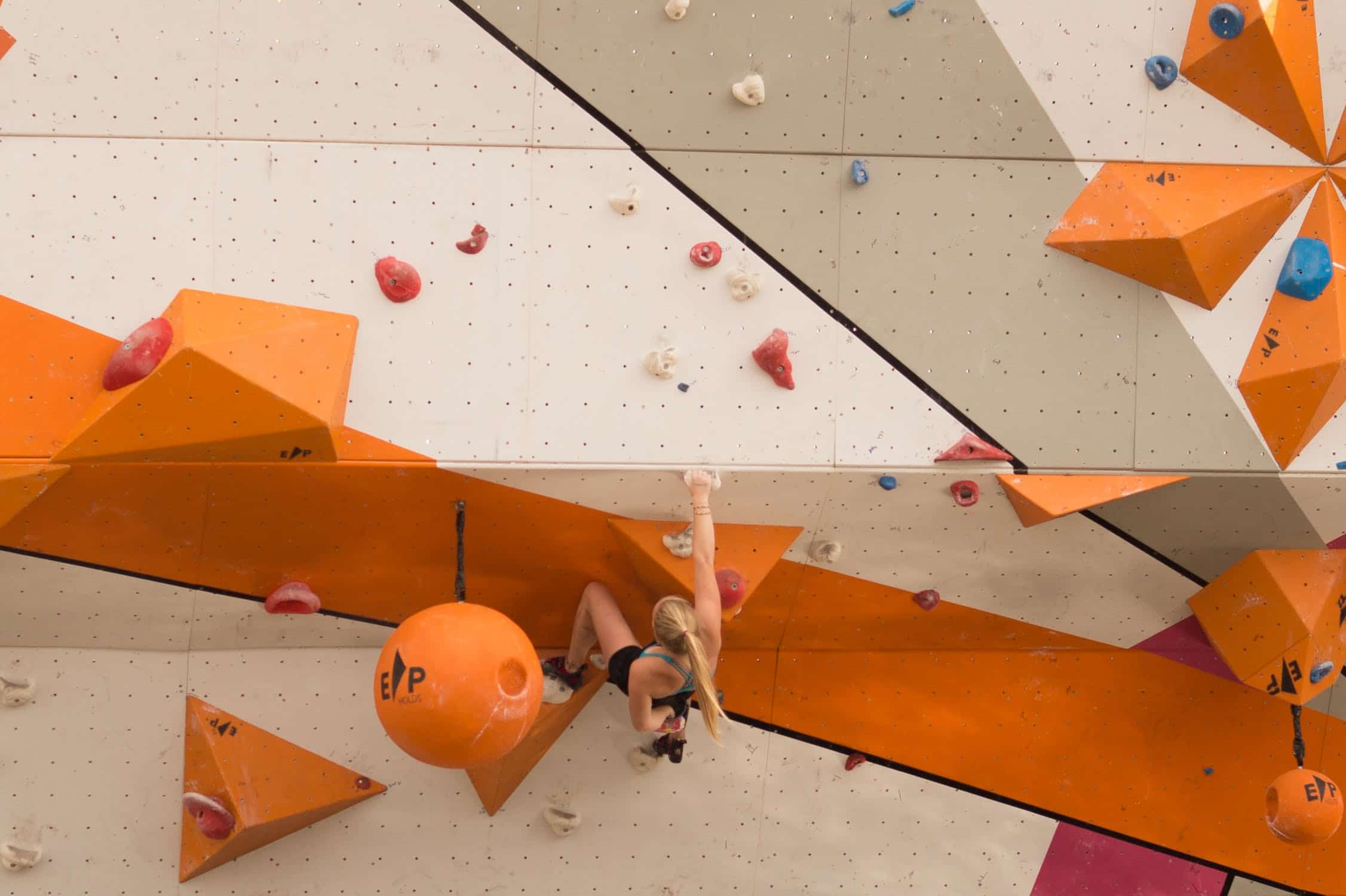 80 Best How much do rock climbing gyms make for Workout at Gym